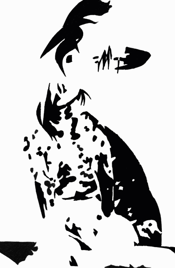 Chinese crested drawing